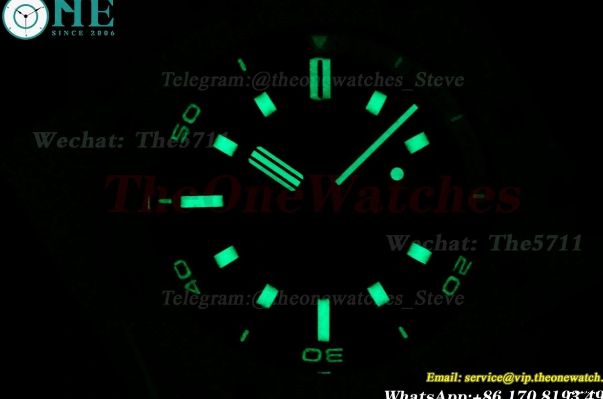 Offshore Diver 42mm Black RU Oak A4308 SS Stk APF 15720 Royal 0328